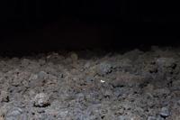 © Copyright Raphael Kessler 2012 - Italy - Sicily - Etna - North side