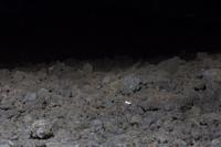 © Copyright Raphael Kessler 2012 - Italy - Sicily - Etna - North side