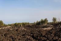 © Copyright Raphael Kessler 2012 - Italy - Sicily - Etna - North side