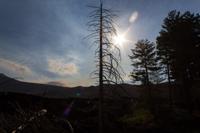 © Copyright Raphael Kessler 2012 - Italy - Sicily - Etna - North side