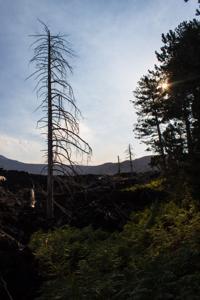 © Copyright Raphael Kessler 2012 - Italy - Sicily - Etna - North side