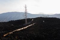 © Copyright Raphael Kessler 2012 - Italy - Sicily - Etna - North side