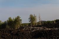 © Copyright Raphael Kessler 2012 - Italy - Sicily - Etna - North side