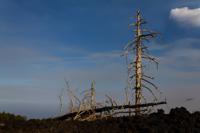 © Copyright Raphael Kessler 2012 - Italy - Sicily - Etna - North side