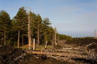 © Copyright Raphael Kessler 2012 - Italy - Sicily - Etna - North side