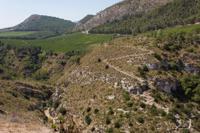 © Copyright Raphael Kessler 2012 - Italy - Sicily - Segesta