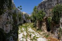 © Copyright Raphael Kessler 2012 - Italy - Sicily - Siracusa - Trackway