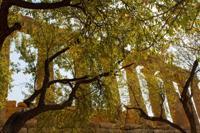 © Copyright Raphael Kessler 2012 - Italy - Sicily - Valle dei Templi