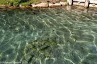 © Copyright Raphael Kessler 2025 – Slovenia – Lake Bled – lake bled 11