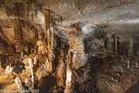 © Copyright Raphael Kessler 2025 – Slovenia – Postojna Caves – postojna caves 6