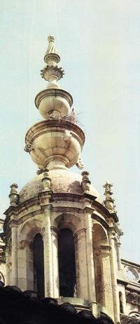 © Copyright Raphael Kessler - Spain - Storks In Steeple