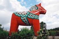 © Copyright Raphael Kessler - Sweden - Horse