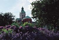 © Copyright Raphael Kessler - Sweden - Stocky