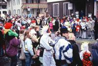 © Copyright - Raphael Kessler 2011 - Switzerland - Baar Carnival