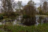 © Copyright Raphael Kessler 2025 – Wales – Llanerchaeron 13