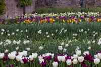 © Copyright Raphael Kessler 2025 – Wales – Llanerchaeron 18