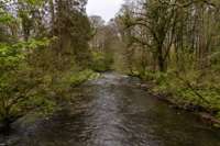 © Copyright Raphael Kessler 2025 – Wales – Llanerchaeron 20