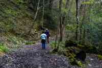 © Copyright Raphael Kessler 2025 – Wales – Llanerchaeron 21