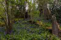 © Copyright Raphael Kessler 2025 – Wales – Llanerchaeron 22