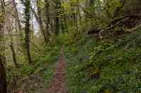 © Copyright Raphael Kessler 2025 – Wales – Llanerchaeron 23