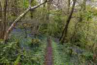 © Copyright Raphael Kessler 2025 – Wales – Llanerchaeron 24