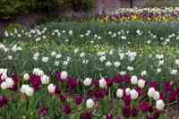 © Copyright Raphael Kessler 2025 – Wales – Llanerchaeron 6