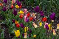 © Copyright Raphael Kessler 2025 – Wales – Llanerchaeron 7