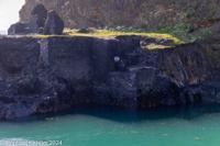 © Copyright Raphael Kessler 2025 – Wales – C Abereiddy – abereiddy 8