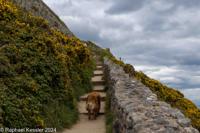 © Copyright Raphael Kessler 2025 – Wales – E Barafundle Bay – barafundle bay 10
