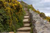 © Copyright Raphael Kessler 2025 – Wales – E Barafundle Bay – barafundle bay 9