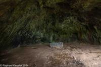 © Copyright Raphael Kessler 2025 – Wales – F Pembroke Castle – pembroke castle 10