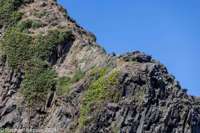 © Copyright Raphael Kessler 2025 – Wales – I Ramsey Island – ramsey island 1