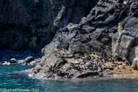 © Copyright Raphael Kessler 2025 – Wales – I Ramsey Island – ramsey island 16