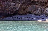 © Copyright Raphael Kessler 2025 – Wales – I Ramsey Island – ramsey island 20