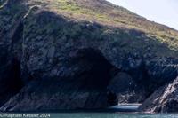© Copyright Raphael Kessler 2025 – Wales – I Ramsey Island – ramsey island 3