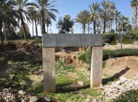 © Copyright Raphael Kessler - Israel  - Arc