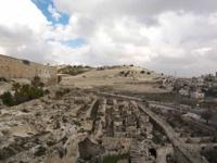 © Copyright - Raphael Kessler 2011 - Israel - Jerusalem - Mount of Olives
