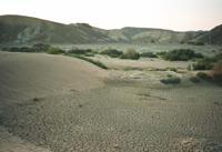 © Copyright - Raphael Kessler 2011 - Israel - Negev Desert