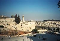 © Copyright - Raphael Kessler 2011 - Israel - Jerusalem
