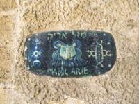 © Copyright Raphael Kessler - Israel  - Leo