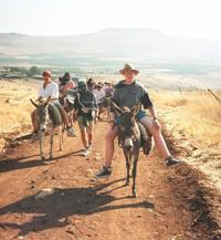 © Copyright - Raphael Kessler 2011 - Israel - Me on a donkey
