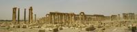 © Copyright Raphael Kessler - Syria - Palmyra Collonade