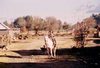 © Copyright - Raphael Kessler 2011 - Mexico Angahuan kids