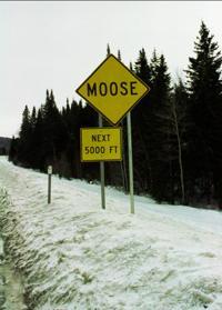 © Copyright - Raphael Kessler 2011 - USA - Moose sign