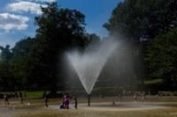 © Copyright - Raphael Kessler 2013 - USA - Boston - The Duck Pond