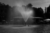 © Copyright - Raphael Kessler 2013 - USA - Boston - The Duck Pond