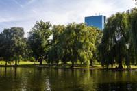 © Copyright - Raphael Kessler 2013 - USA - Boston - Lake