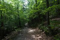 © Copyright - Raphael Kessler 2013 - USA - Copake - The path