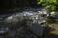 © Copyright - Raphael Kessler 2013 - USA - Copake - The River