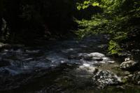 © Copyright - Raphael Kessler 2013 - USA - Copake - The river